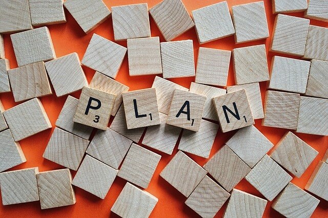 Plan goals and objectives